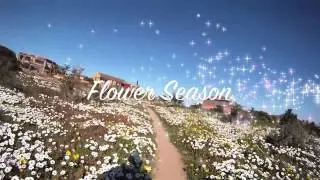 Riding the 'Baan IV