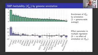 BioEssay: SNP-based heritability and selection analyses: Improved models and new results