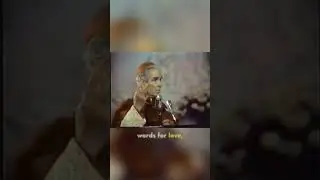 🕊 