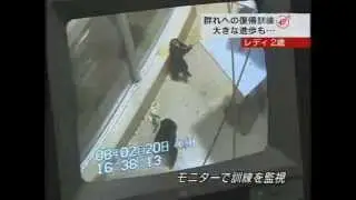 【HTBセレクションズ】レディ２歳　復帰訓練のその後
