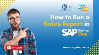 How to Run a Sales Report in SAP Business One - Easy-to-Follow Guide