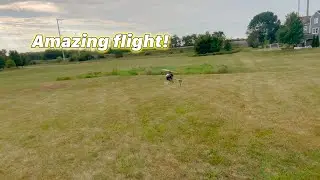 Blade 230s v2 Smart - The Journey to Expert Helicopter Piloting!