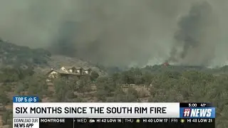 Six months later, restoration continues after South Rim Fire in Black Canyon