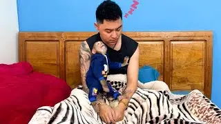 Monkey Kaka called dad to wake up for breakfast because was hungry