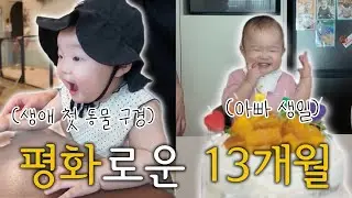 할 줄 아는 게 점점 많아지는 13개월아기의 평화로운 일상😎 (생애 첫 동물, 개인기 업그레이드(정연이요, 양말신기), 두 번째 아빠 생일)