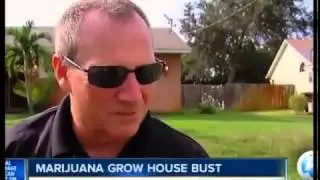 $250K worth of marijuana in PSL house