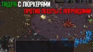 Старкрафт Т VS Z Зерг использует гидру и люркеров против террана с масс пехотой и весселями!