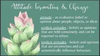 General Psychology Chapter 13: Social Psychology