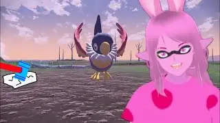 Shiny Chatot CRASHED MY STREAM