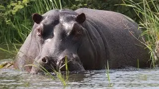 Day 9 in Afrika 2025 - Hoba Meteorite and Okawango in Namibia