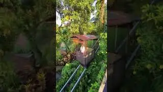 Escape to Ubud: The Breathtaking Hanging Gardens. #bali #travelvlog #balitravelvlog