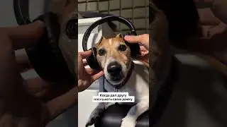 #альметьевск #юмор #битснуля #татарстан #прикол #минуслирика #music #dogs