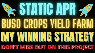 BUSD CROPS YIELD FARM TEAM BRINGING HONESTY AND INTEGRITY INTO DEFI