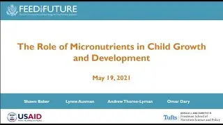 Webinar Series: The Role of Micronutrients in Child Growth and Development