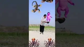 Flying crying babies Catching vs danching gorilla,, cute baby , parrot, funnyvideo #shorts