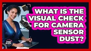 What Is The Visual Check For Camera Sensor Dust?