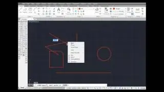 E. Parallel & Extension Osnaps