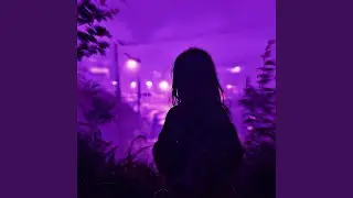 Foggy Evenings