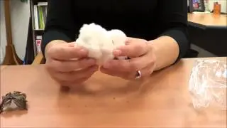 Cotton Ginning Tutorial