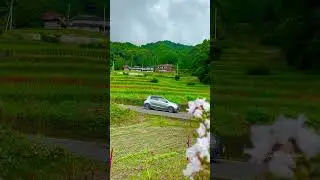Japan Nature #fyp#japannature#fyp