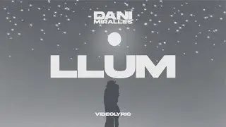 Dani Miralles - LLUM (Videolyric Oficial)
