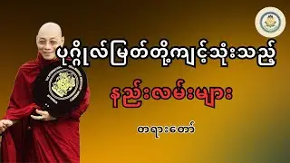 ပုဂ္ဂိုလ်မြတ်တို့ ကျင့်သုံးသည့်နည်းလမ်းများ တရားတော် ( ပါချုပ်ဆရာတော် အရှင်နန္ဒမာလာဘိဝံသ )