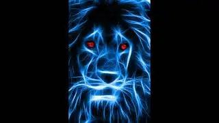 HD Wallpaper Animal, Wallpaper 2021