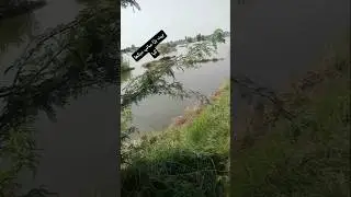#flood #fishing #selab2025 #shortsfeed