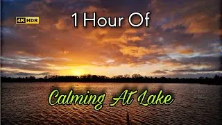 1 Houres Of Morning Calm Music At Lake Utterslev Mose, Relaxing, Sunrise, Nature, #relaxing  #nature