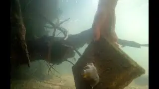 Pêche et protection du milieu aquatique en fédération