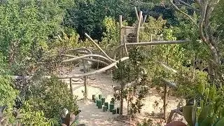 Hidden Playground found in Gallop Extension Singapore Botanical Garden #Garden #playground