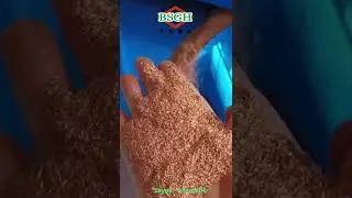 Small Wire Chopper Machine BSGH Copper Shredding Machine Granulates Copper From Scrap Cable Wires