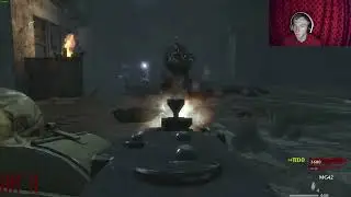 WAW DER REISE 2 PLAYER WR NO POWER NO JUG NO PERKS (Fixed Wunderwaffe)