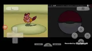 Pokemon Volt White Hn Reset