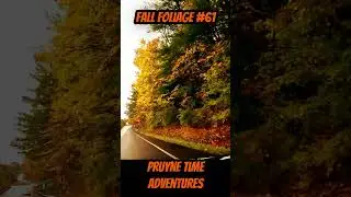 FALL FOLIAGE #61: 🍂 Hammondsport NY 2025 | Keuka Lake Scenic Autumn Drive 🚗🍁