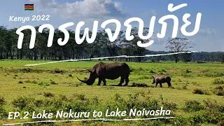 Ep2. Lake Nakuru park&Lake Naivasha🇰🇪#vacation2022+เก็บภาพสัตว์จากกล้อง มาฝากทุกท่านท้ายคลิปนะครับ)