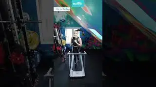 TREADMILL LIPAT PREMIUM - BODIMAX PLUS SMART RUNNER