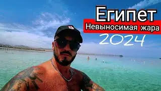Отель ЗАПОЛНЕН 100 % 🇪🇬 Pickalbatros Royal Moderna Resort - Sharm El Sheikh 5* Первая береговая Набк