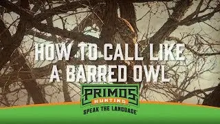 How to Owl Hoot with your Mouth