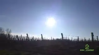 Organsko gnojivo za vrhunsko vino