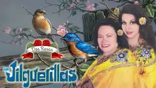 Las Jilguerillas & Dueto Las Palomas 💿 30 Éxitos de Oro | Corridos y Rancheras Viejitas 2025