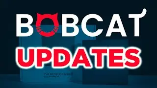 Bobcat Helium Miner ($HNT) Shipping + Customer Service Updates.