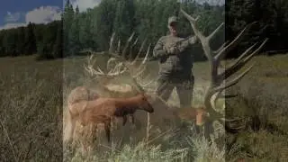 trophy bull elk hunts bull basin ranch