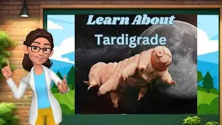 Learn About Water Bear | Tardigrade | Kids Learning | Kids Educational Animal Facts