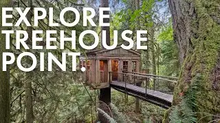 Tour Treehouse Point | PNW Forest Wedding Venue