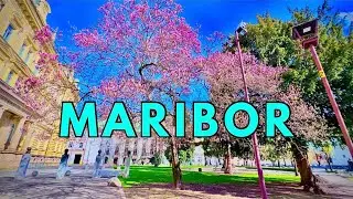 MARIBOR Slovenia 🇸🇮