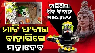 Special Story: Miraculous Shiva Lingam Emerges in Balangir Home During Sheetal Sasthi Preparations