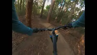 Upper luge South Hobart Tasmania