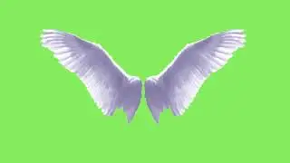 Green Screen Animation Angel - Animated Wings  (COPYRIGHT FREE) #greenscreen #chromakey