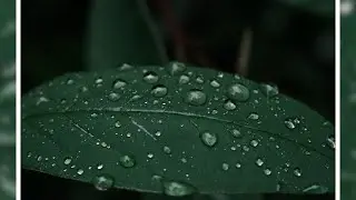 Fujifilm XT50 - Spiers Old School Grounds, Beith, in the rain - Video and Stills